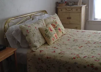 Red Lion Bed & Breakfast hotel thumbnail 6