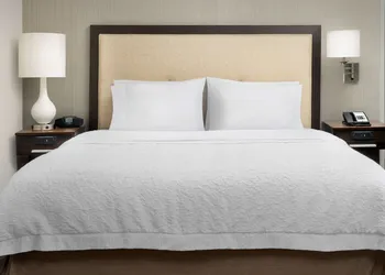 Hampton Inn & Suites Phoenix Tempe hotel thumbnail 5