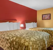 Econo Lodge Inn & Suites Maingate Central hotel detail image 4
