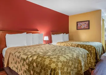 Econo Lodge Inn & Suites Maingate Central hotel thumbnail 4