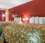 Econo Lodge Inn & Suites Maingate Central hotel detail image 5