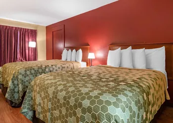 Econo Lodge Inn & Suites Maingate Central hotel thumbnail 5