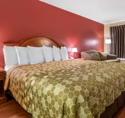 Econo Lodge Inn & Suites Maingate Central hotel detail image 7