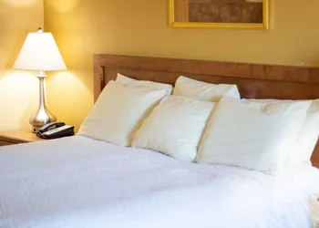 Norma Dan Motel - Near Dolly Parton's Stampede Dinner Attraction hotel thumbnail 6