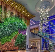 Marriott Virginia Beach Oceanfront Resort hotel detail image 5