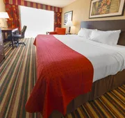 Holiday Inn & Suites Orlando SW - Celebration Area by IHG hotel detail image 4
