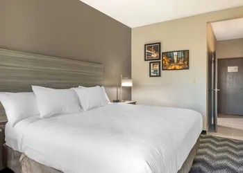 Country inn & Suites by Radisson, Bolingbrook- Romeoville, I-55 hotel thumbnail 5
