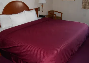 GuestHouse Fife hotel thumbnail 5