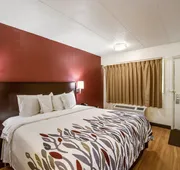 Red Roof Inn Saginaw - Frankenmuth hotel detail image 7