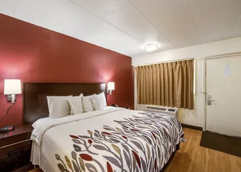 Red Roof Inn Saginaw - Frankenmuth hotel thumbnail 7