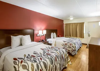 Red Roof Inn Saginaw - Frankenmuth hotel thumbnail 8