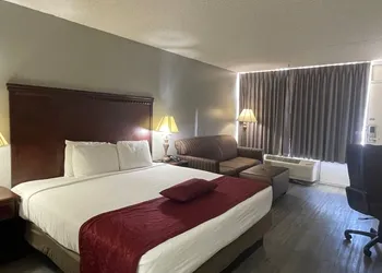 Willow Tree Inn hotel thumbnail 4