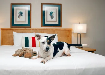 Timbers Motel hotel thumbnail 6