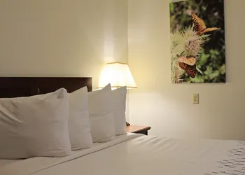 Bowen Motel hotel thumbnail 5