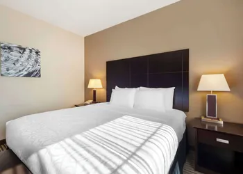 Best Western Plus Peace River Hotel & Suites hotel thumbnail 8