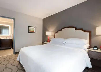 Embassy Suites by Hilton Chicago Naperville hotel thumbnail 8