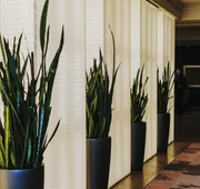 InterContinental Montreal by IHG hotel detail image 5