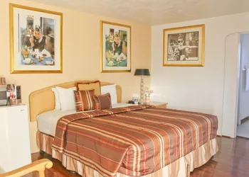 El Trovatore Motel hotel thumbnail 8