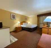 Ocotillo Inn hotel detail image 3