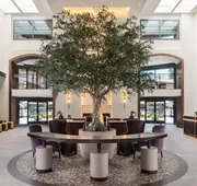 Casa Mani Resort Napa Valley, Curio Collection by Hilton hotel detail image 4