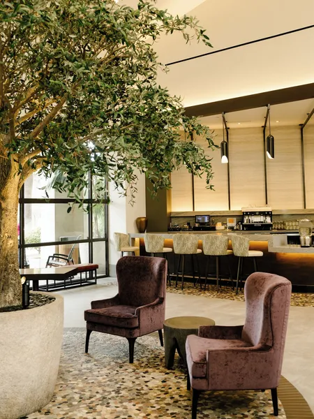 Casa Mani Resort Napa Valley, Curio Collection by Hilton hotel detail image 6