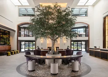 Casa Mani Resort Napa Valley, Curio Collection by Hilton hotel thumbnail 4