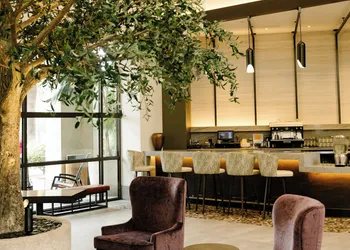 Casa Mani Resort Napa Valley, Curio Collection by Hilton hotel thumbnail 6
