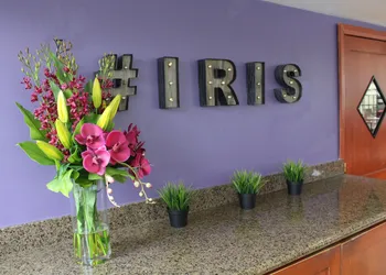 Hotel Iris - San Diego hotel thumbnail 3