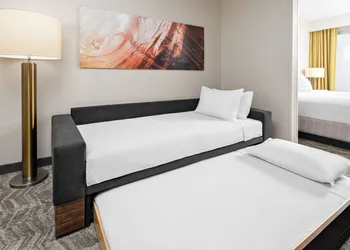 SpringHill Suites by Marriott San Diego Rancho Bernardo/Scripps Poway hotel thumbnail 7