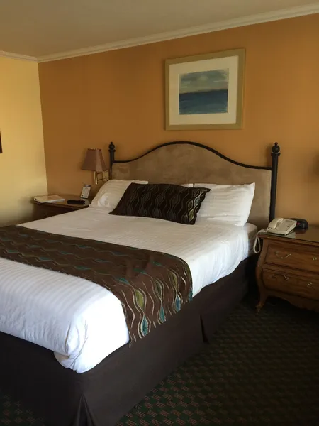 Oasis Inn & Suites hotel detail image 6