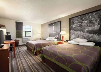 Super 8 by Wyndham Colorado Springs/Afa Area hotel thumbnail 5