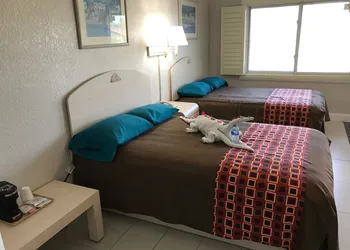 Apollo Inn Motel hotel thumbnail 7