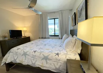 Tropic Isle Beach Resort hotel thumbnail 7