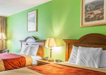 Travelers Inn Douglas By OYO US-441 hotel thumbnail 5