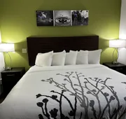 Sleep Inn Savannah Gateway I-95 hotel detail image 4