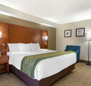 Comfort Inn & Suites - near Robins Air Force Base Main Gate hotel detail image 4