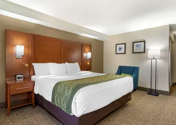 Comfort Inn & Suites - near Robins Air Force Base Main Gate hotel thumbnail 4