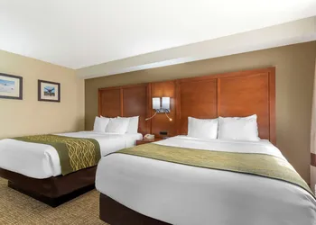 Comfort Inn & Suites - near Robins Air Force Base Main Gate hotel thumbnail 6