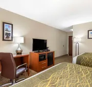 Comfort Inn & Suites - near Robins Air Force Base Main Gate hotel detail image 7