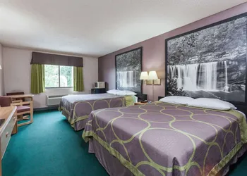 Super 8 by Wyndham Carrollton hotel thumbnail 6