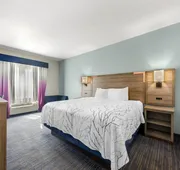 Best Western Plus San Antonio East Inn & Suites hotel detail image 4