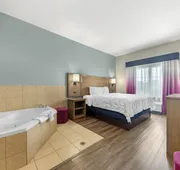 Best Western Plus San Antonio East Inn & Suites hotel detail image 7