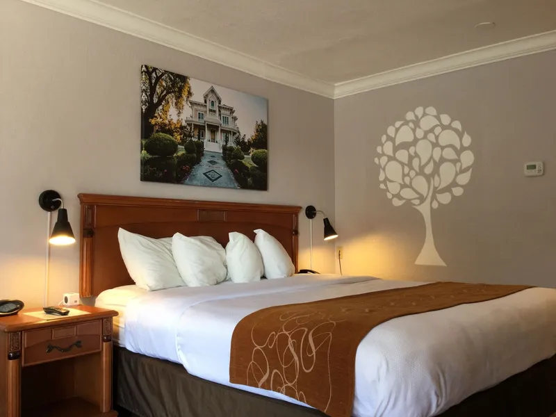 Journey Inn hotel detail image 6