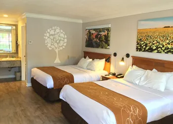 Journey Inn hotel thumbnail 8
