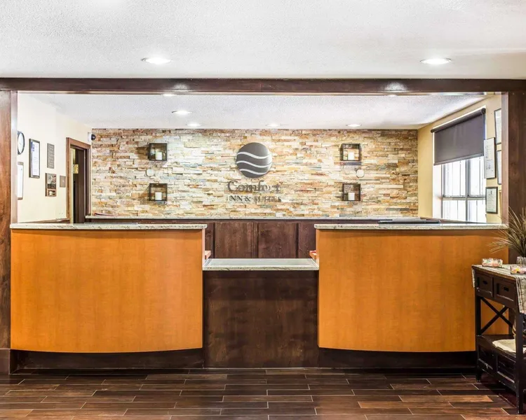 Comfort Inn & Suites Ballpark Area hotel detail image 2