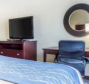 Comfort Inn & Suites Ballpark Area hotel detail image 4