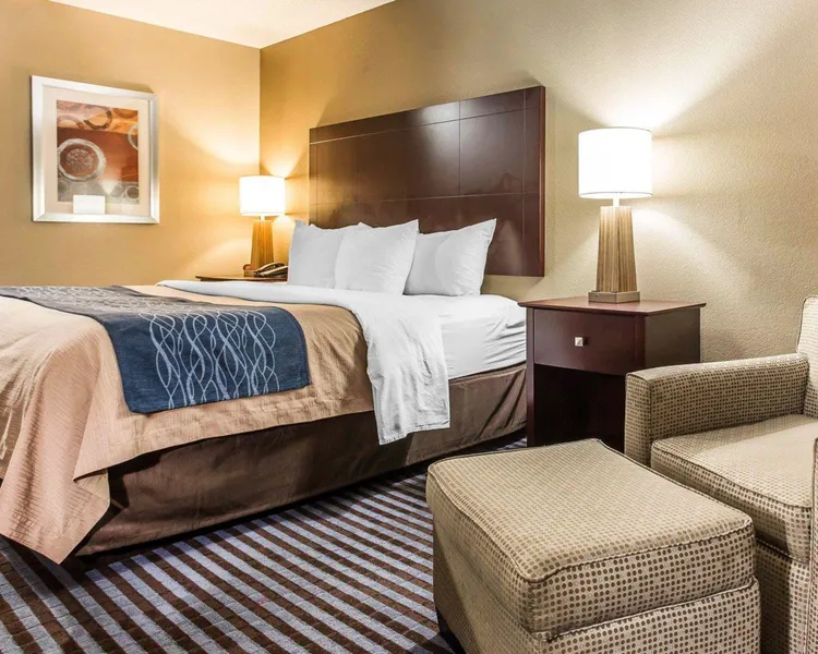 Comfort Inn & Suites Ballpark Area hotel detail image 6