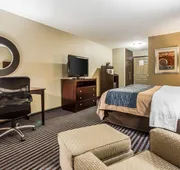 Comfort Inn & Suites Ballpark Area hotel detail image 7