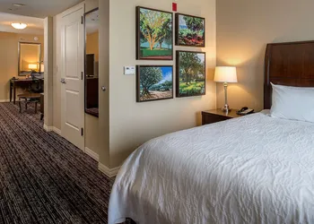 Hilton Garden Inn St. Louis Airport hotel thumbnail 6