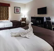 Best Western Mulberry Hotel hotel detail image 5